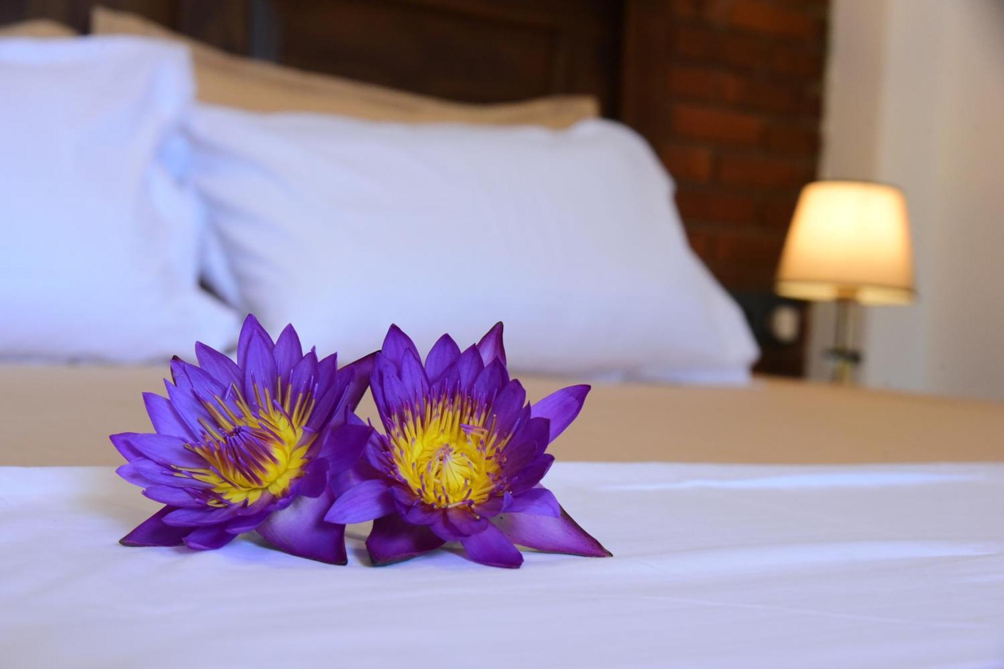 Ocean Ripples Hotel Hikkaduwa Kültér fotó